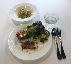 料理写真