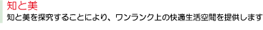 知と美